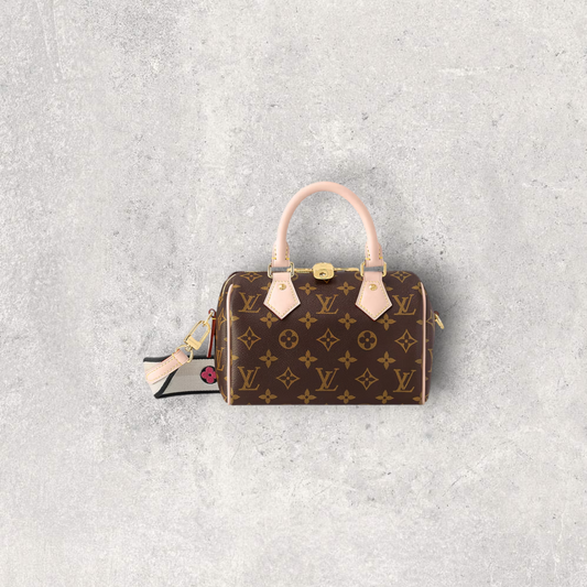 SAC SPEEDY BANDOULIÈRE LOUIS VUITTON